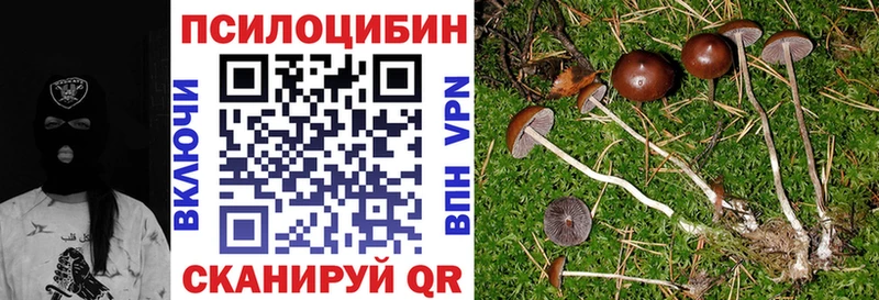 даркнет сайт  Устюжна  Галлюциногенные грибы MAGIC MUSHROOMS 